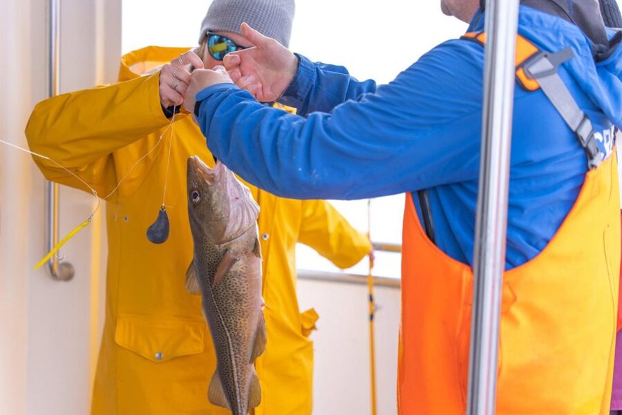 Reykjavik: Sea Fishing Boat Tour & BBQ with the Day's Catch - Key points before you go