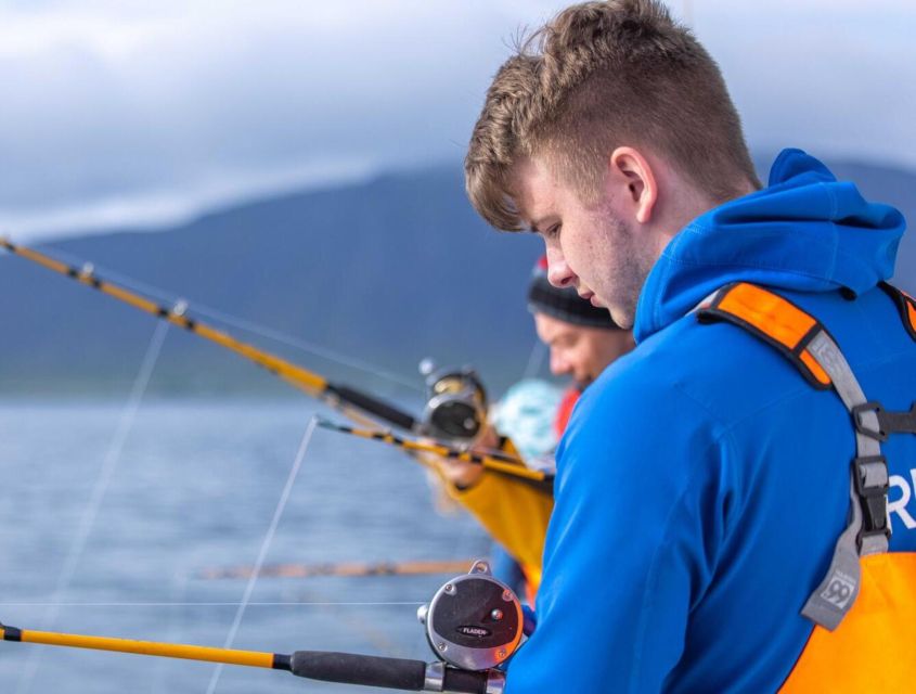 Reykjavik: Sea Fishing Boat Tour & BBQ with the Day's Catch - Reykjavik Old Harbor to Faxaflói Bay: the 2.5 hour rhythm