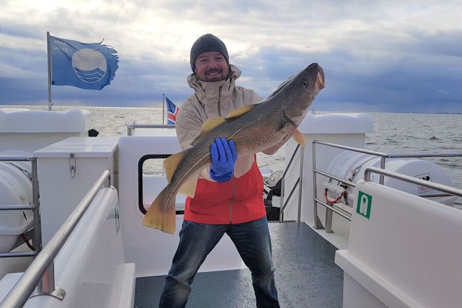 Reykjavik: Sea Fishing Boat Tour & BBQ with the Day's Catch - Ocean views and wildlife, from puffins to whales
