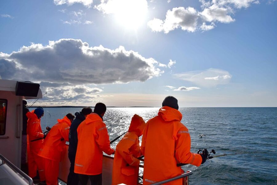 Reykjavik: Sea Fishing Boat Tour & BBQ with the Day's Catch - Price and value at about $141 per person