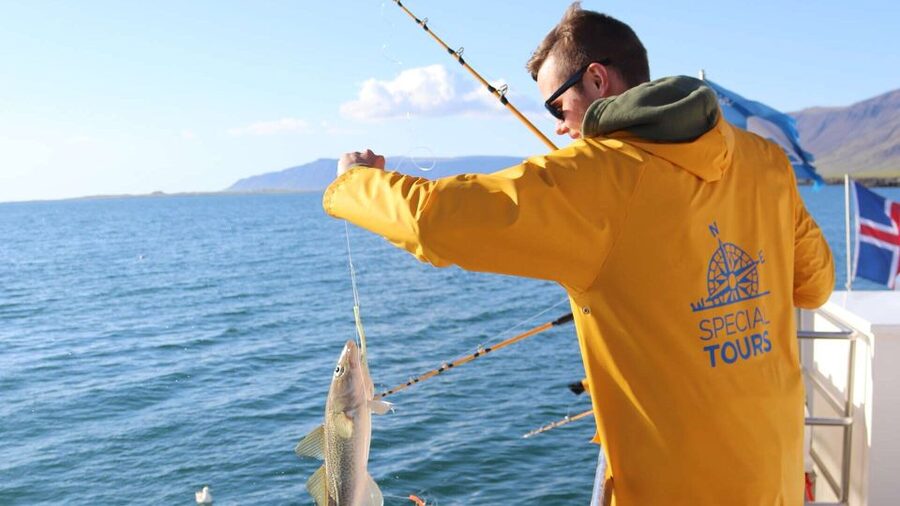 Reykjavik: Sea Fishing Boat Tour & BBQ with the Day's Catch - Should you book this Reykjavik sea fishing tour?