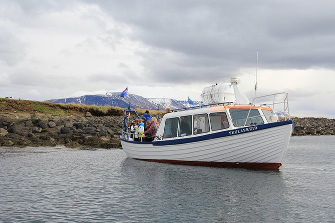 Reykjavik Shore Excursion: Puffin Sightseeing Cruise - Puffins and quiet moments at Akurey Island