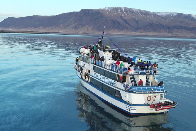 Reykjavik Shore Excursion: Whale-Watching Cruise - Comfort kit on board: thermal overalls, WiFi, and sea-sickness help