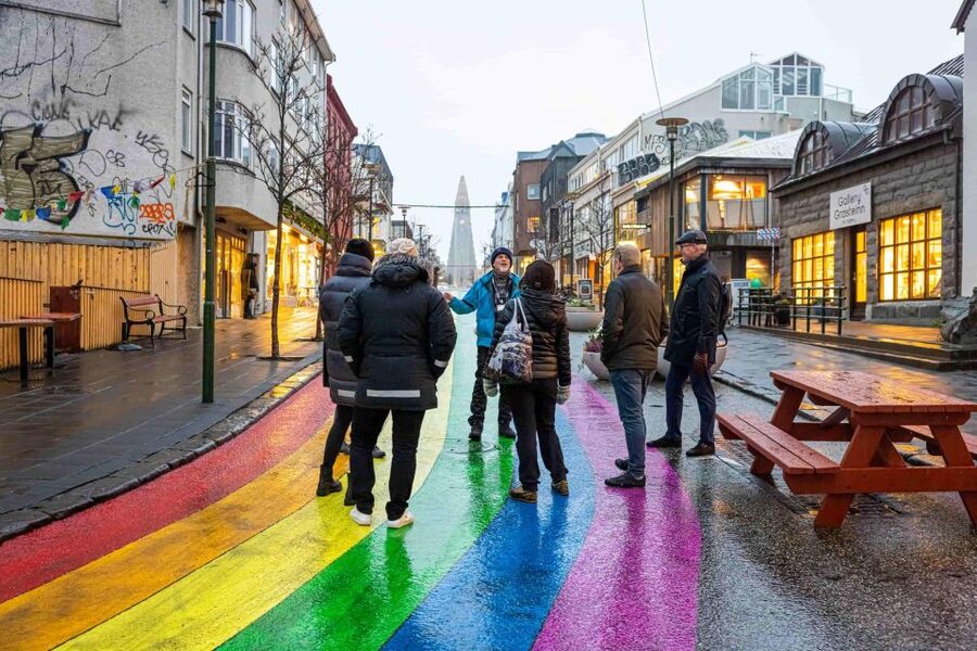 Reykjavik: Sightseeing Walking Tour with a Viking - Alþingi and Lake Tjornin: Politics and Birdlife in One Route
