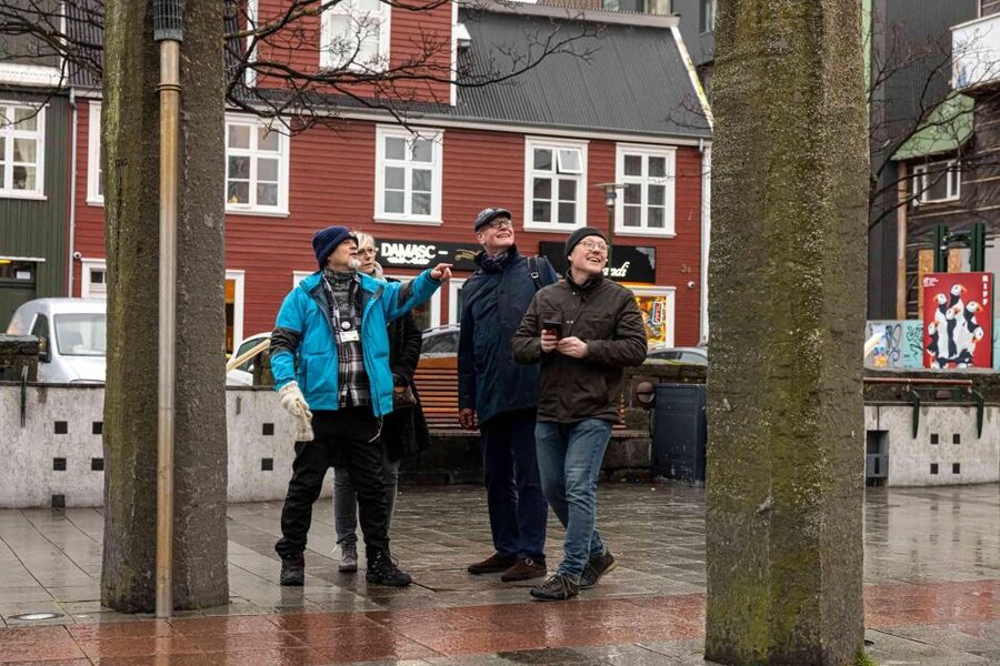Reykjavik: Sightseeing Walking Tour with a Viking - Harpa Concert Hall and Reykjavik Harbour Views
