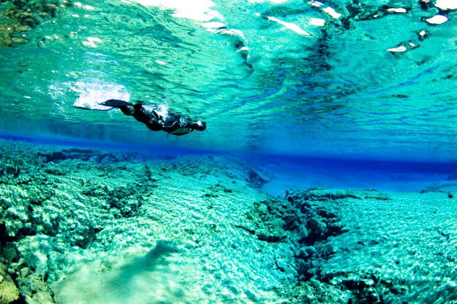 Reykjavik: Silfra Snorkeling & Lava Tunnel Adventure Combo - Free underwater photos: how to get the most out of them