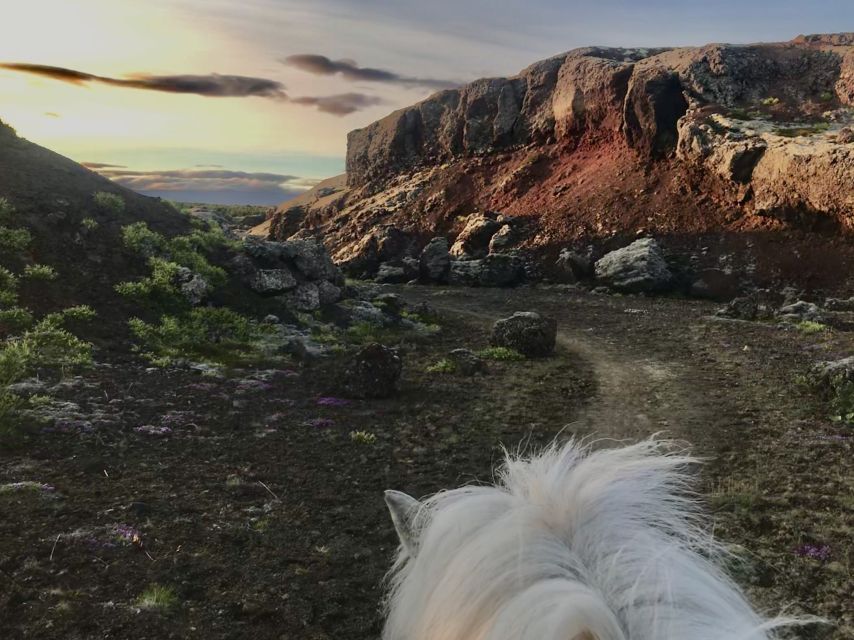 Reykjavik: Small-Group Horse Volcano Riding Tour with Pickup - Key highlights worth your attention
