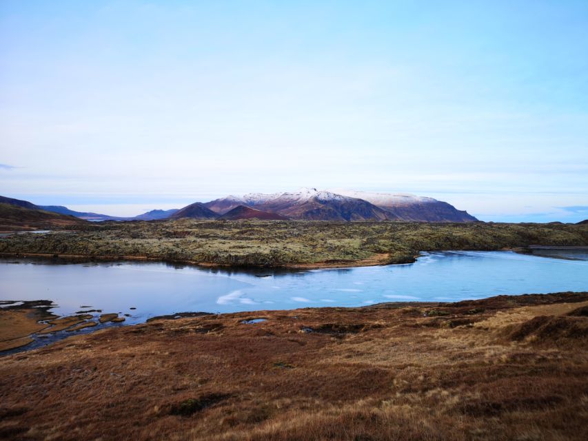 Reykjavik: Small-Group Snæfellsnes Day Trip - Ytri-Tunga: seals, surf, and the kind of stop you hope for