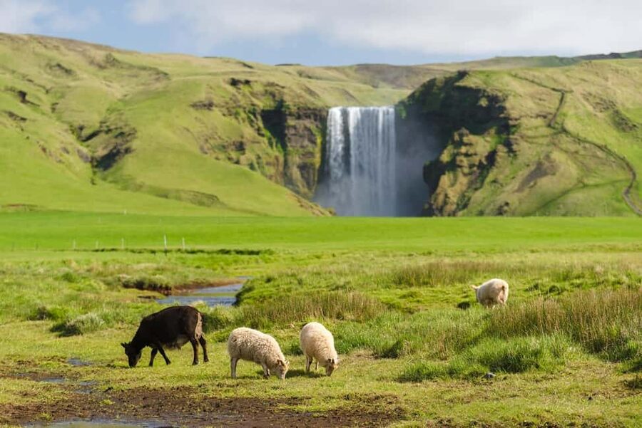 Reykjavik: South Coast Tour with Chinese Guide - Seljalandsfoss: Walking Behind the Water at the Start