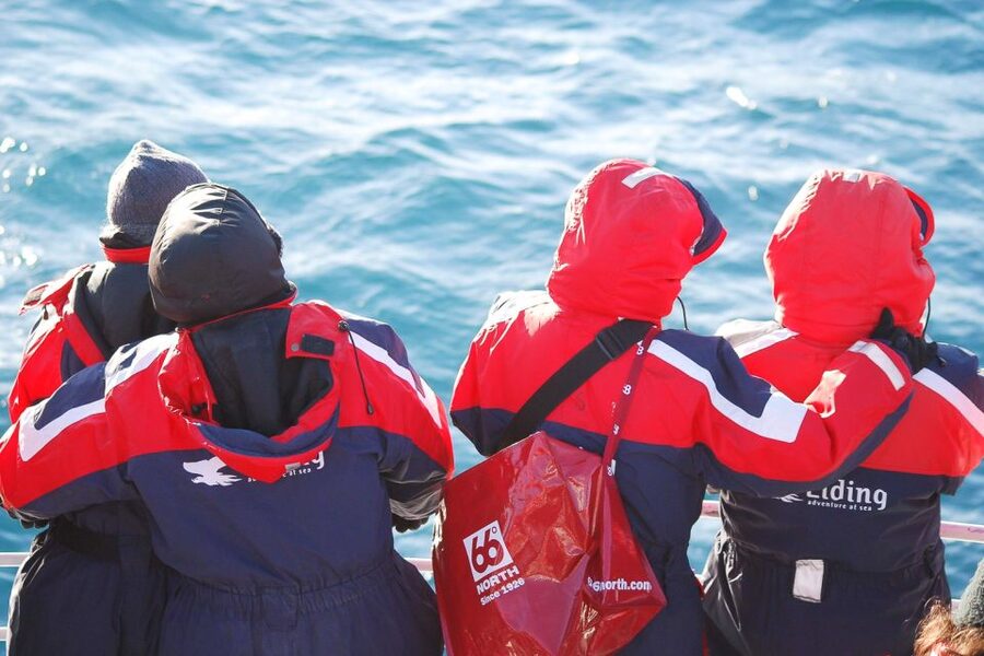 Reykjavik: the Original 3-Hour Whale Watching Tour - Price and value: is $108 per person fair for this kind of experience?