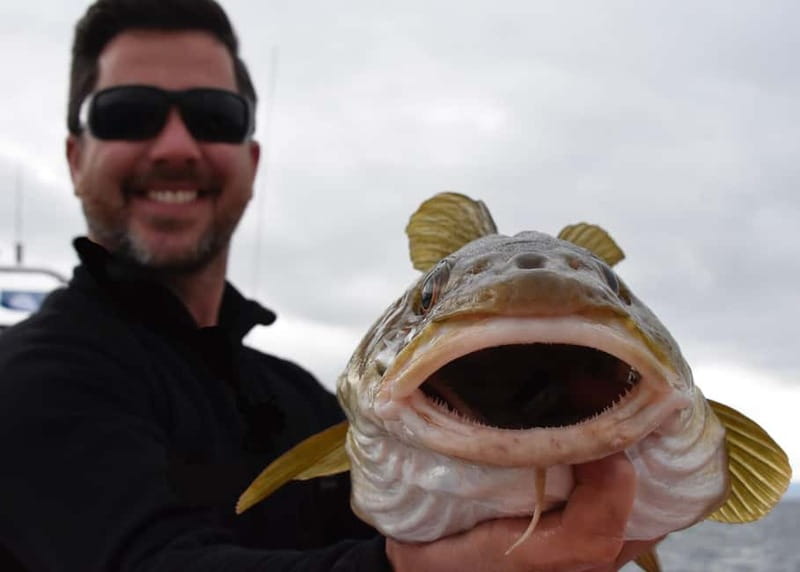 Reykjavik: Traditional Sea Fishing with BBQ Feast - Is $176 per person good value for Reykjavik fishing with BBQ?