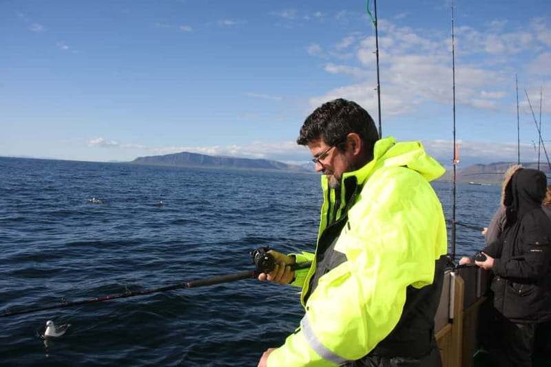 Reykjavik: Traditional Sea Fishing with BBQ Feast - Who should book this cod-and-BBQ fishing trip, and who should skip it