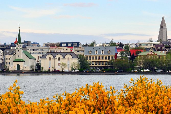 Reykjavik Walking Tour - Walk with a Viking - Laugavegur, Arnahöll viewpoints, and Hallgrímskirkja: finish with the skyline