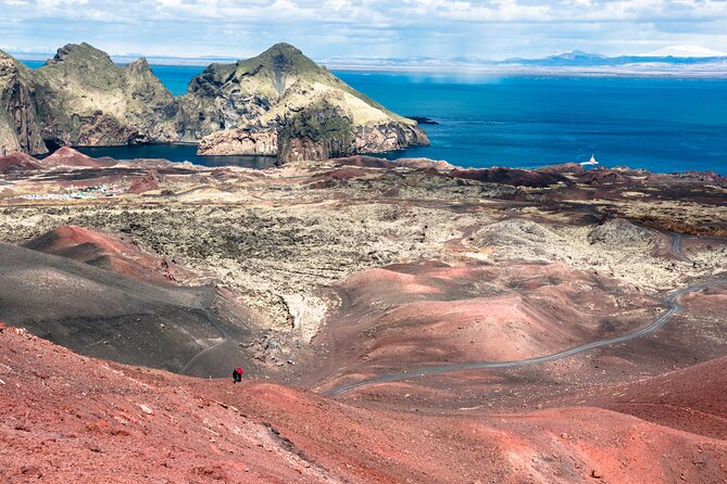 Reykjavik - Westman Islands (Bus transfer to Landeyjahöfn) - Small group comfort and the Magic Iceland Travel operator