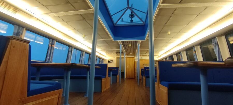 Reykjavik: Whale & Marine Adventure Tour - Who This Tour Suits Best (And Who Should Skip It)