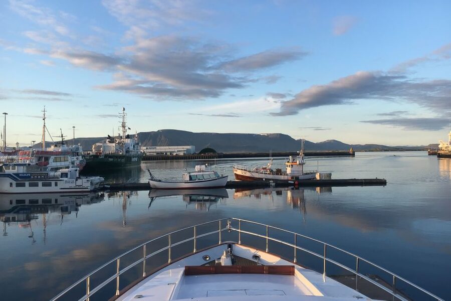 Reykjavik: Whale Watching and Dolphin Watching Yacht Cruise - Key highlights you’ll actually care about