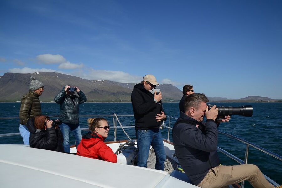Reykjavik: Whale Watching and Dolphin Watching Yacht Cruise - Comfort on MY Harpa and MY Amelia Rose: warm blankets, WiFi, and space