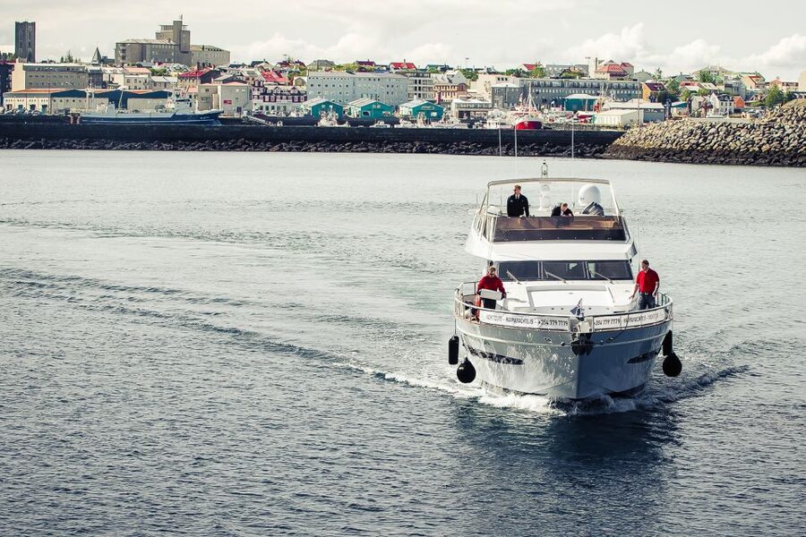 Reykjavik: Whale Watching and Dolphin Watching Yacht Cruise - What the guide does for your whale and dolphin spotting odds