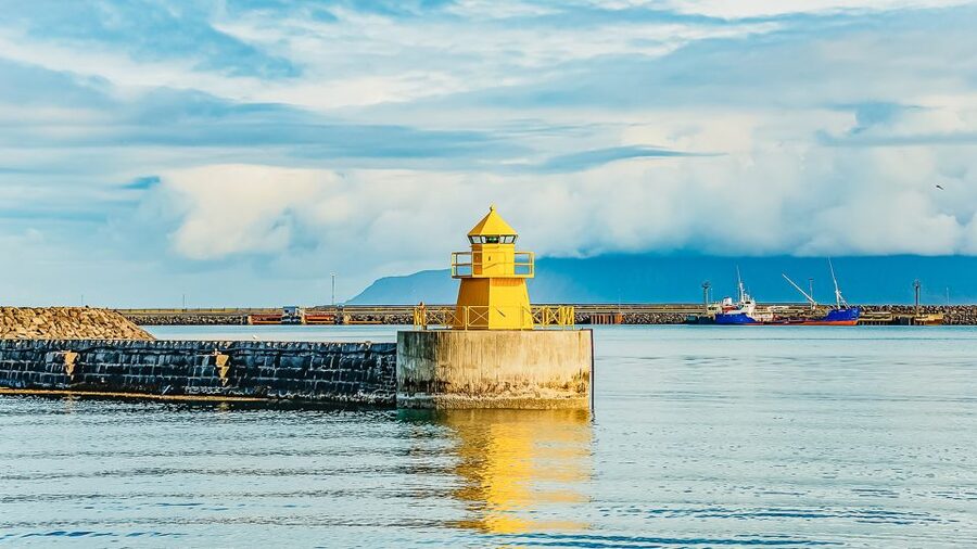 Reykjavík: Whale Watching and Marine Life Cruise - Price and Value: What You’re Paying For