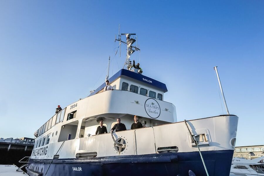 Reykjavík: Whale Watching and Marine Life Cruise - On Board: Heated Cabins, WiFi, and Where to Stand for Photos