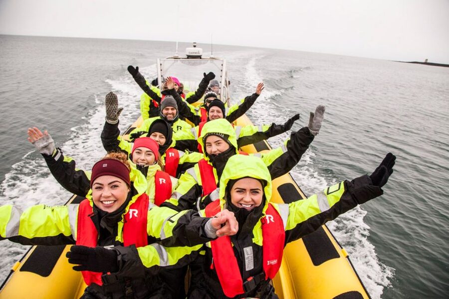 Reykjavik: Whale Watching by RIB Speedboat - Key points to know before you go