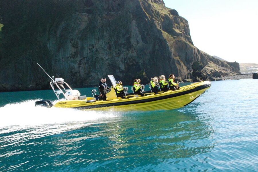 Reykjavik: Whale Watching by RIB Speedboat - Price and value: is $200 reasonable for 2 hours off Reykjavík?