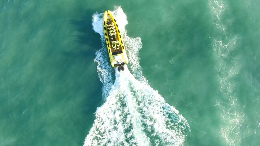 Reykjavik: Whale Watching by RIB Speedboat - Should you book the Reykjavík whale watching RIB?
