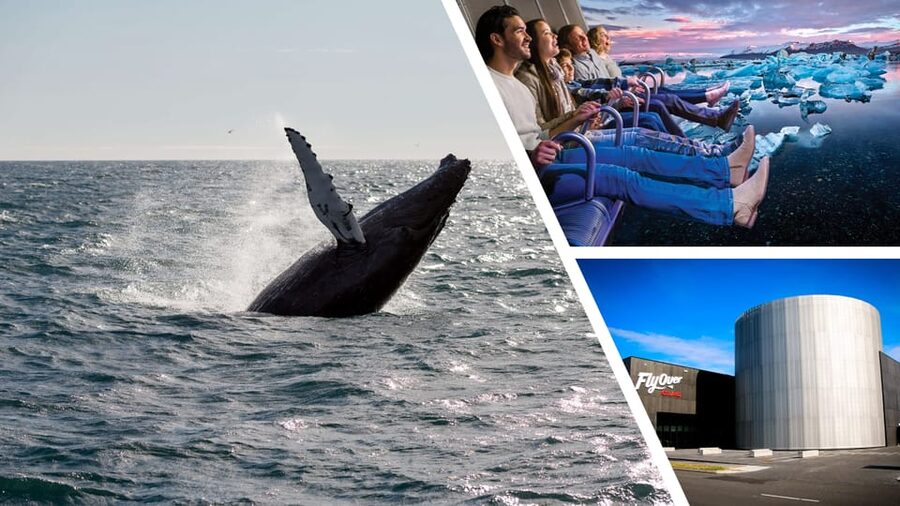 Reykjavík: Whale Watching Cruise and FlyOver Combo Ticket - Should You Book the Reykjavik Whale Watching and FlyOver Combo?