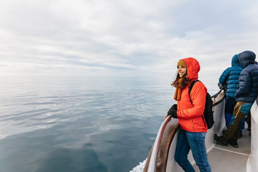 Reykjavík: Whale Watching Cruise on the Amelia Rose Yacht - Weather Plans, Seasickness Reality, and Why the Captain Decides
