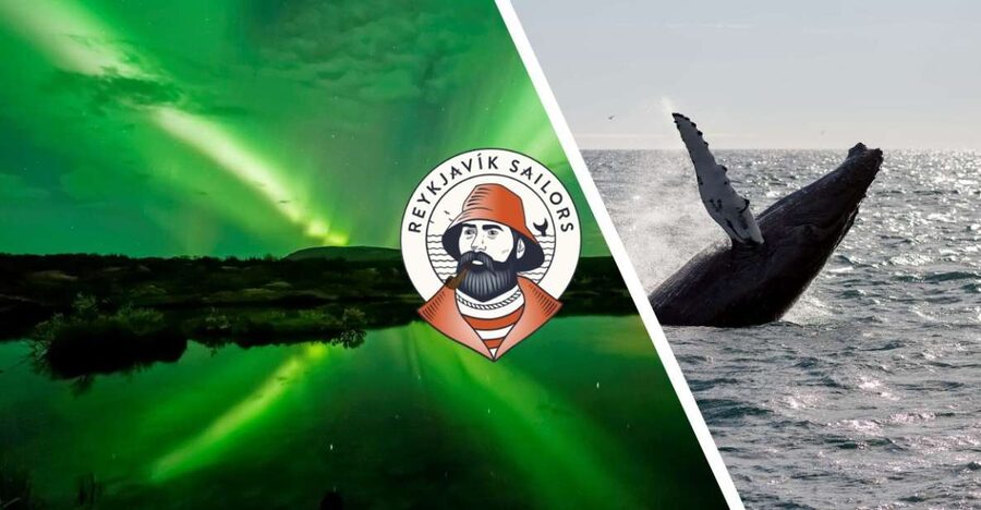 Reykjavik: Whale Watching & Northern Lights Combo Cruise - Key Points That Make This Cruise Worth Your Time