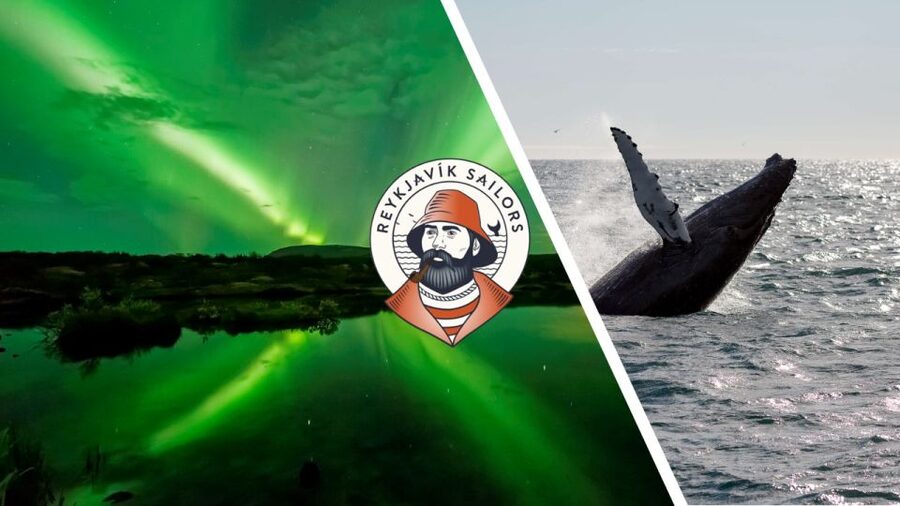Reykjavik: Whale Watching & Northern Lights Combo Cruise - Using Your Reykjavik Break Time Without Wasting the Day