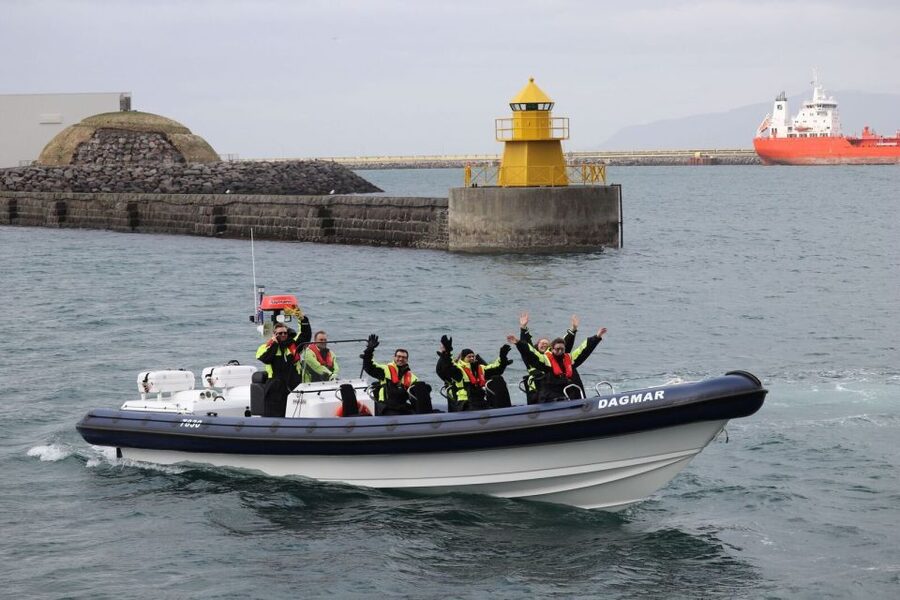 Reykjavik: Whale Watching Tour by RIB Boat - Summer puffins on Akurey, and how the timing changes your day
