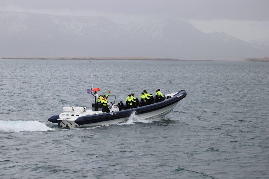 Reykjavik: Whale Watching Tour by RIB Boat - The Whales of Iceland Museum in Grandi harbor, why it matters