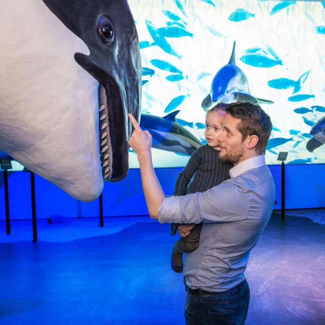 Reykjavik: Whale Watching Tour, Whales of Iceland Exhibition - On the boat: what you can realistically spot, and how