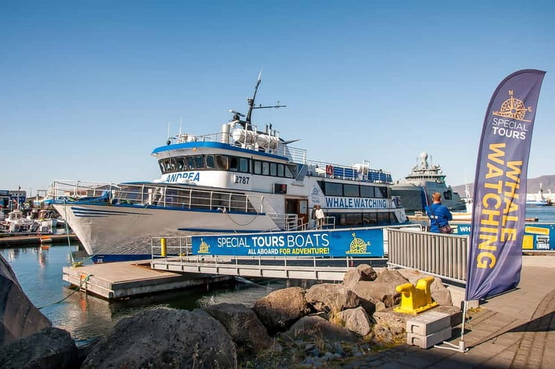 Reykjavik: Whale Watching Tour with Expert Guide - The whale-spotting game plan in Faxaflói Bay