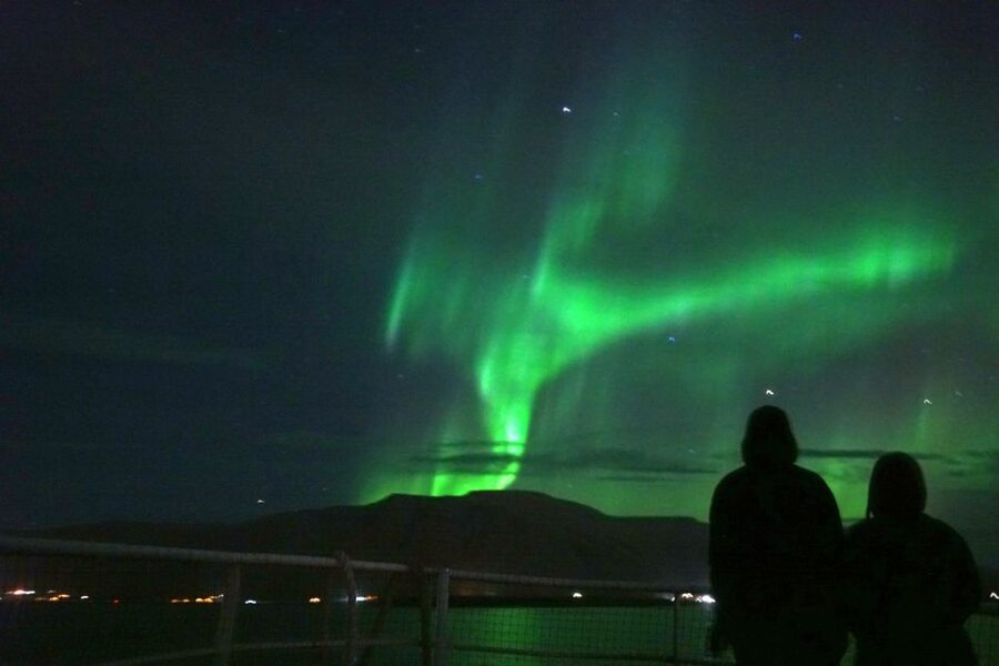 Reykjavik: Whales and Northern Lights Boat Tour - Price and Value: Is $212 Worth It?