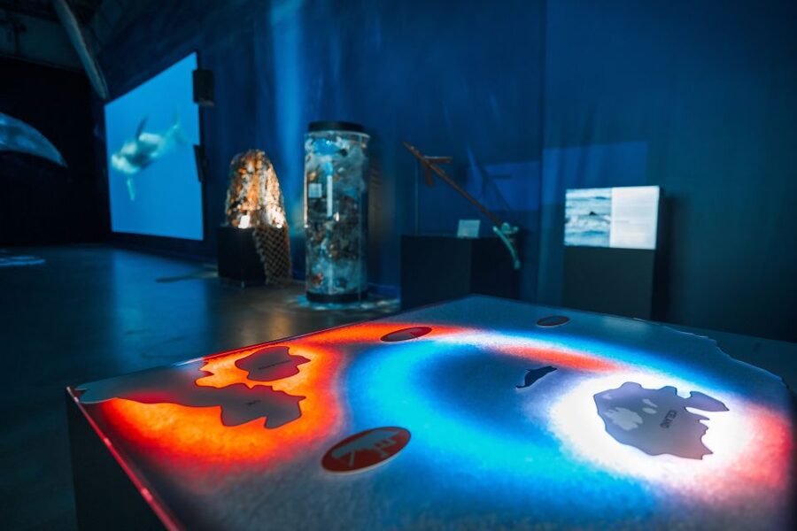Reykjavik: Whales of Iceland Museum Entrance Ticket - Interactive exhibits you can actually use (not just read)