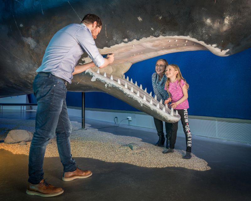 Reykjavik: Whales of Iceland Museum Entrance Ticket - Fin Whale Theatre documentaries included with your ticket