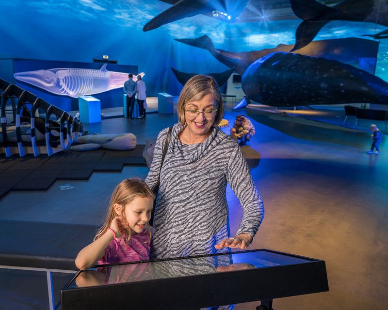 Reykjavik: Whales of Iceland Museum Entrance Ticket - How long to plan, and the best order to visit