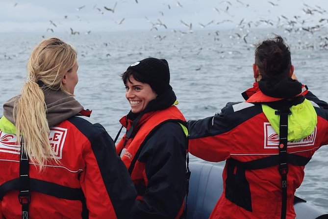 RIB Whale Watching Small-Group Boat Tour from Reykjavik - Puffins in Season: What to Expect at Akurey and Neighboring Islands