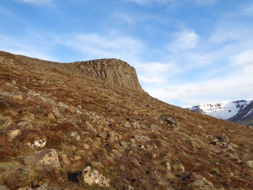 Rock Climbing Experience with Gear Included - Why top rope feels so much calmer for first-timers