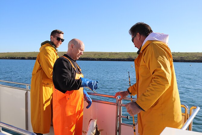 Sea Fishing Experience from Reykjavik - Key things I’d book this for