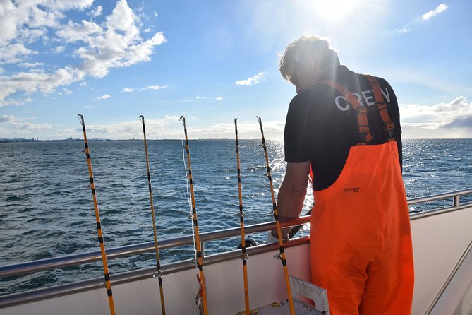 Sea Fishing Experience from Reykjavik - Price and value: why $147.54 may actually make sense
