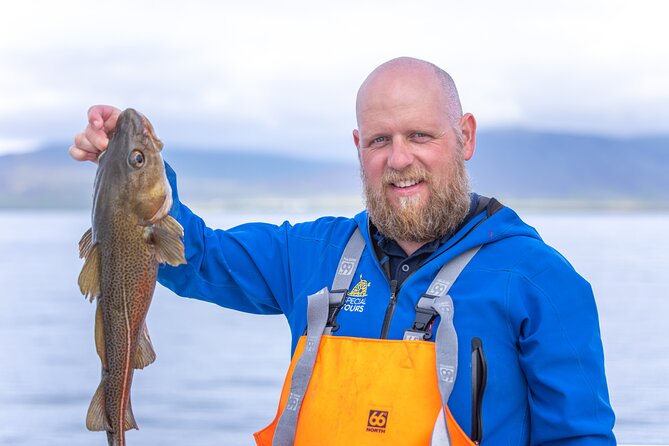 Sea Fishing Experience from Reykjavik - Faxaflói Bay fishing: where the trip really happens