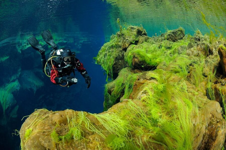 Silfra: Diving Between Tectonic Plates - Who should book, and who should skip Silfra