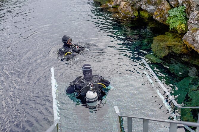 Silfra: Diving Between Tectonic Plates - Meet on Location - Price and value: how $254 stacks up for a 3-hour guided small group