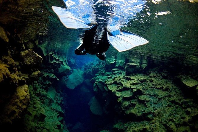 Silfra Fissure Snorkeling From Reykjavík - Free Underwater Photos - Thingvellir National Park: where the science becomes something you can point at