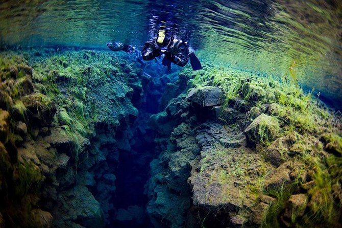 Silfra Fissure Snorkeling From Reykjavík - Free Underwater Photos - PADI divemaster guidance, small-group pace, and safety that feels real
