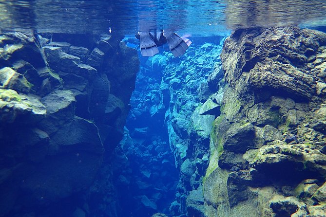 Silfra Fissure Snorkeling From Reykjavík - Free Underwater Photos - Photos, hot chocolate, and the keepsakes you can actually use
