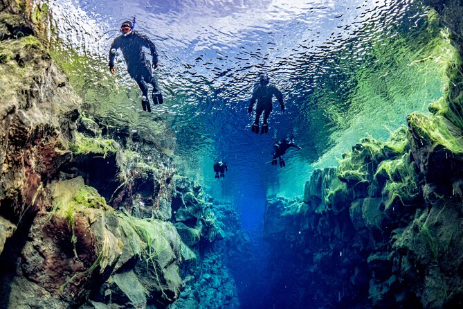 Silfra Snorkel - Between Continents - When Quality Matters - Price and value: why $179 can make sense for Silfra quality